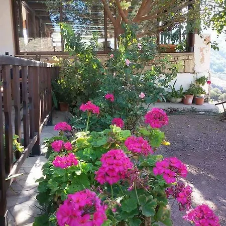 Extreme View Cafe And To Let Prastio (Paphos)